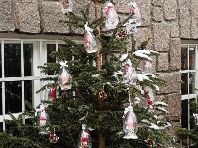 Zdobení vánočního stromečku na náměstí v Litvínově