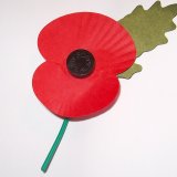 Vlčí mák - symbol Dne válečných veteránů
