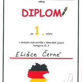 1. místo v okresním kole Německého jazyka