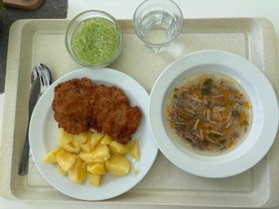 Rakousko - Vídeňský řízek a polévka s fridátovými nudlemi